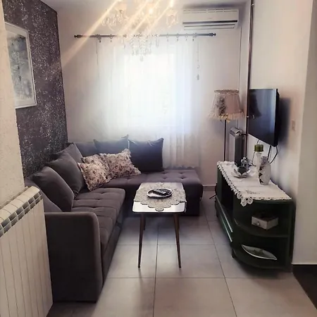 Subert 노비비노돌스키