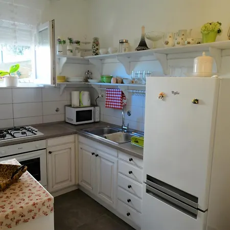 Subert 노비비노돌스키